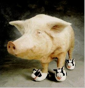 Vep�ovky pou��vejte rad�ji tepeln� zpracovan� ...